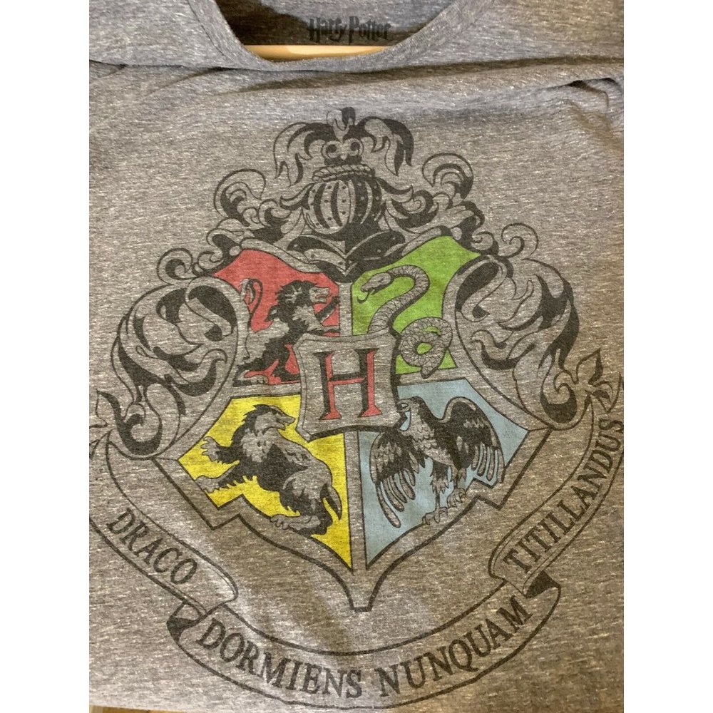 Harry Potter Men’s Sz 2XL Gray T-shirt‎ Draco Dormiens Nunquam Titillandus